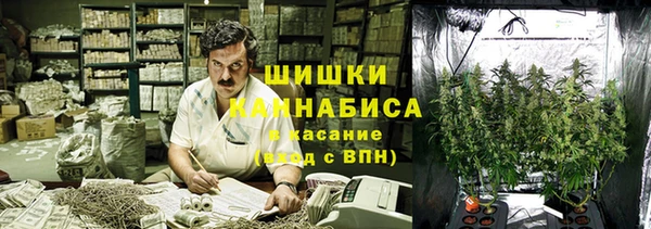 прущая мука Алзамай