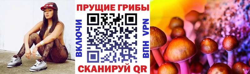 Псилоцибиновые грибы Magic Shrooms  Микунь 